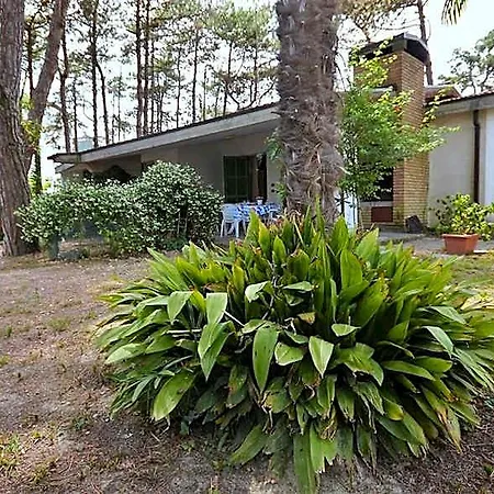 Spacious Surrounded By Lush Greenery 利尼亚诺萨比亚多罗