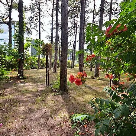 Spacious Surrounded By Lush Greenery Hotel Lignano Sabbiadoro